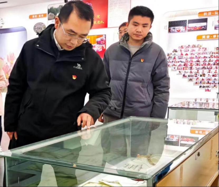 免费A级毛片无码免费视频