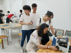 免费A级毛片无码免费视频