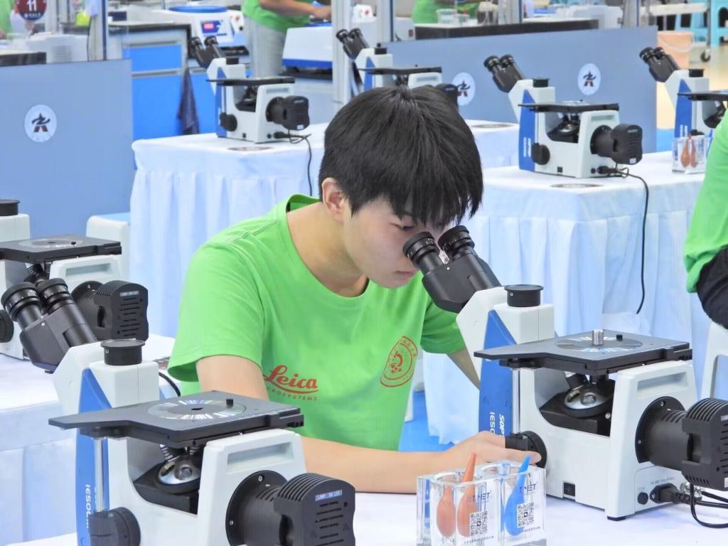 免费A级毛片无码免费视频
