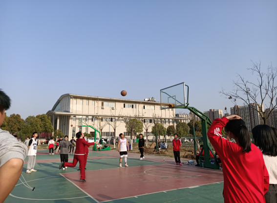 免费A级毛片无码免费视频
