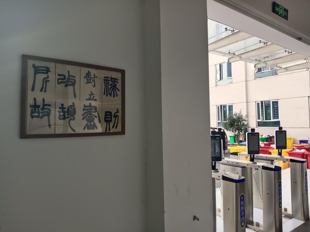 免费A级毛片无码免费视频