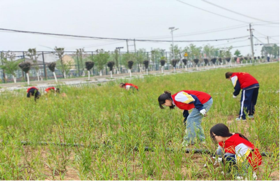 免费A级毛片无码免费视频