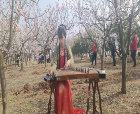免费A级毛片无码免费视频