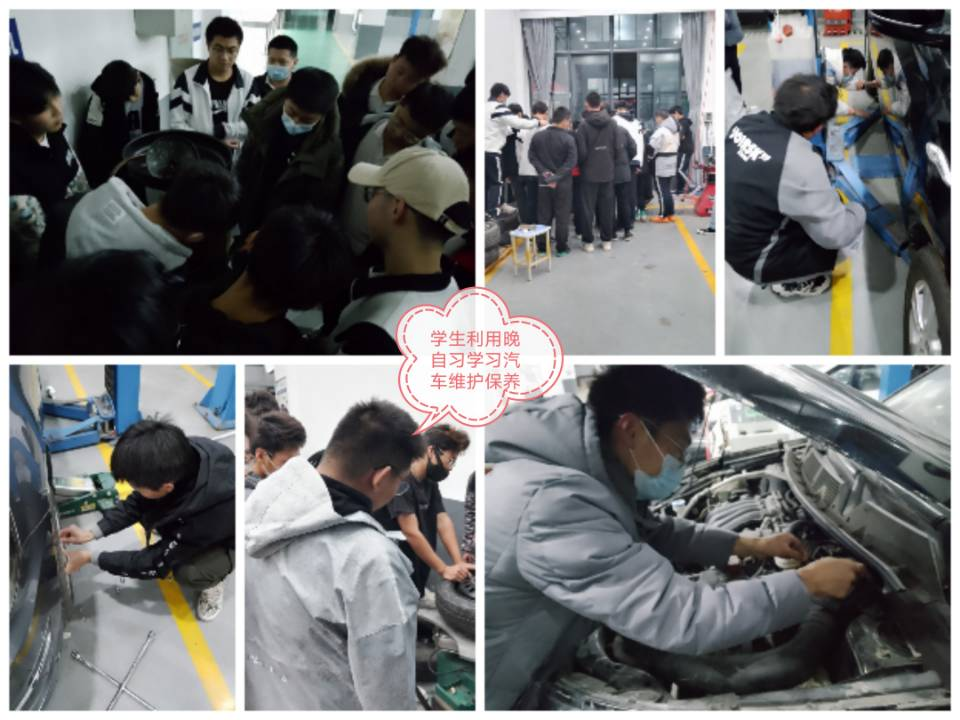 免费A级毛片无码免费视频