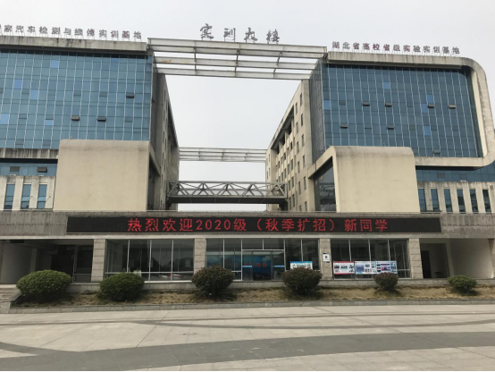 免费A级毛片无码免费视频