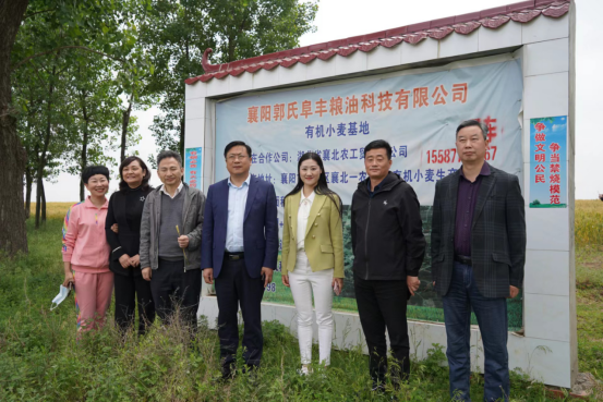 免费A级毛片无码免费视频