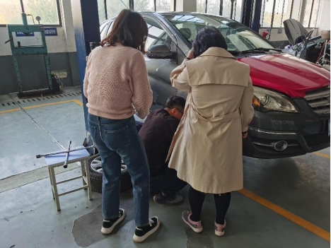 免费A级毛片无码免费视频