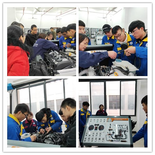 免费A级毛片无码免费视频