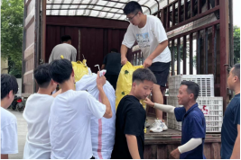 免费A级毛片无码免费视频