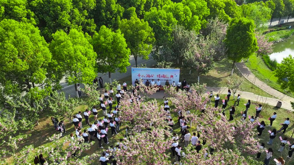 免费A级毛片无码免费视频