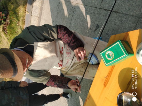 免费A级毛片无码免费视频