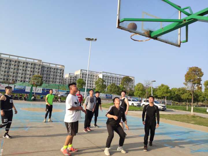 免费A级毛片无码免费视频