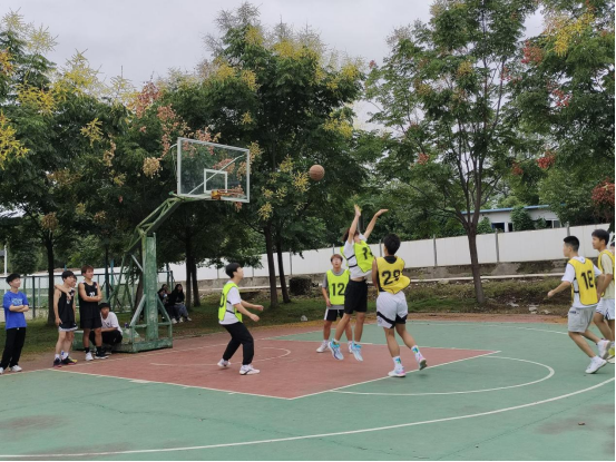 免费A级毛片无码免费视频