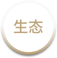 免费A级毛片无码免费视频