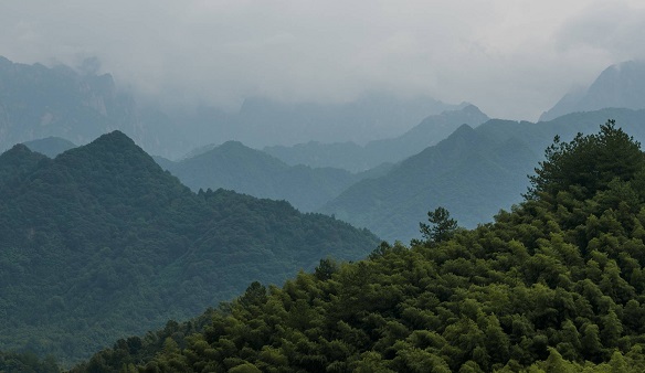 免费A级毛片无码免费视频