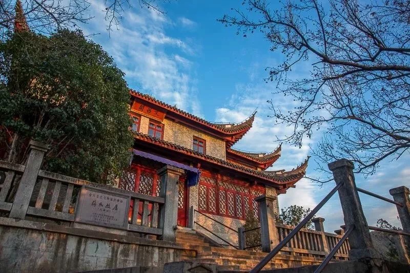 免费A级毛片无码免费视频
