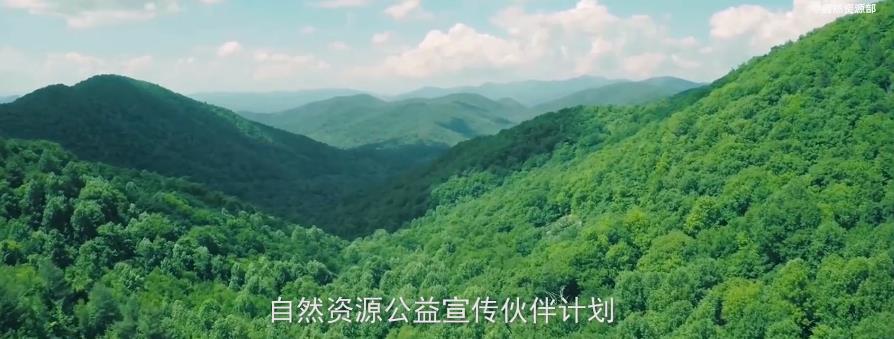 免费A级毛片无码免费视频