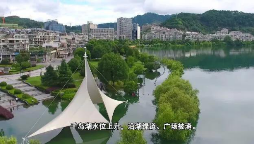免费A级毛片无码免费视频