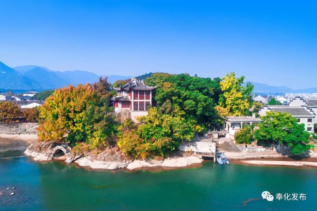 免费A级毛片无码免费视频