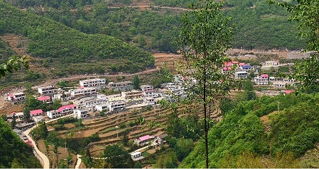 免费A级毛片无码免费视频