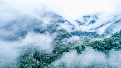 免费A级毛片无码免费视频