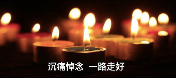 免费A级毛片无码免费视频